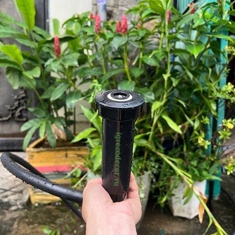  Thân phun tưới cỏ Pop-Up K-Sprays 74001 cao 10cm KRain-Mỹ 
