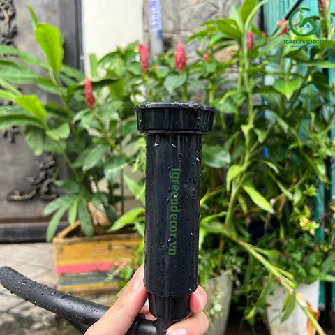  Thân phun tưới cỏ Pop-Up K-Sprays 74001 cao 10cm KRain-Mỹ 