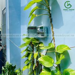 Bộ điều khiển tưới tự động PRO – LC 8 kênh KRain – Mỹ