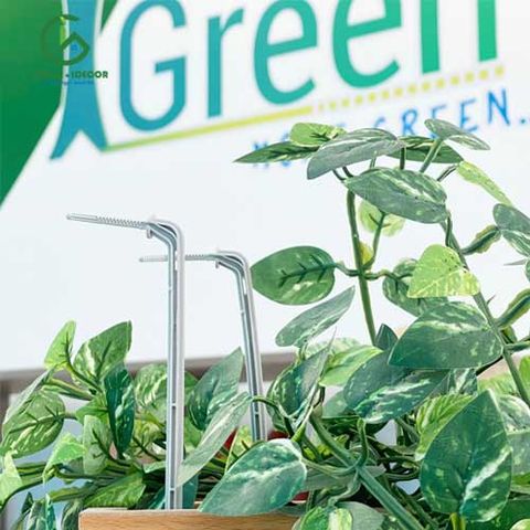  Bộ Hai Que Cắm Nhỏ Giọt Mũi Tên Cao Cấp Màu Trắng Knet2-W Dài 60cm - Percent 