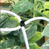  Bộ Bốn Que Cắm Nhỏ Giọt Mũi Tên Cao Cấp Màu Trắng Knet4-W Dài 60cm - Percent 