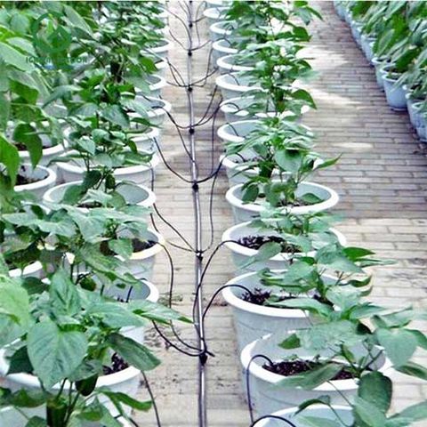  Cây cắm nhỏ giọt Knet 2.2l/h 