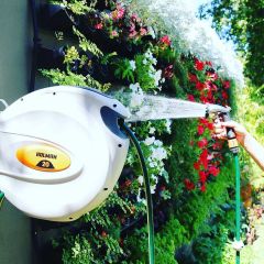 Ống cuộn tưới vườn thu dây tự động 20m Holman – Úc