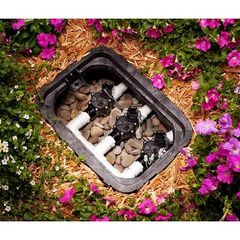 Van điện từ phi 34mm Proseri 150 Krain - Mỹ