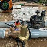  Van cân bằng áp hydraulic bằng đồng phi 60mm Ấn Độ 