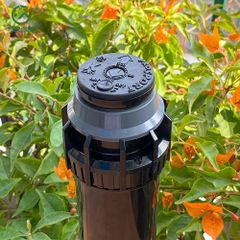 Vòi phun tia rotor prosport ®14003-BSP-SS - Krain – Mỹ