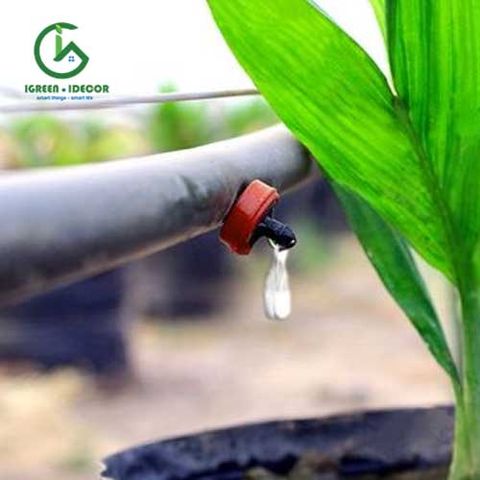  Vòi tưới nhỏ giọt Bù Áp - PCJ - Israel 