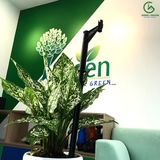  Cây cắm đỡ béc tưới cao 43cm – Ấn Độ 