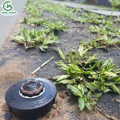 Đầu vòi ROTARY phun dải hình chữ nhật KRain – Mỹ