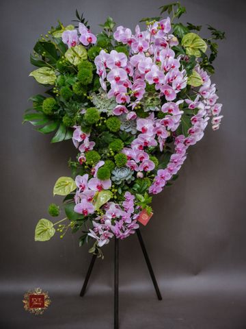  Tâm Nguyện Cuối 