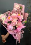  Blush Garden 