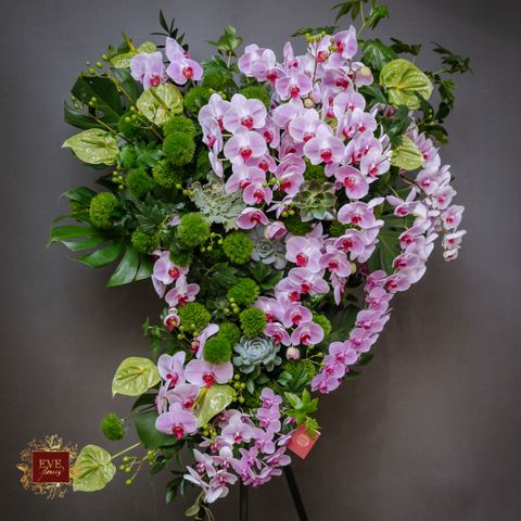  Tâm Nguyện Cuối 