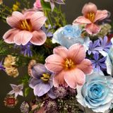  Lovely Bloom 