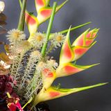  Vibrant Spring 