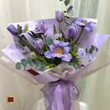  Violet 