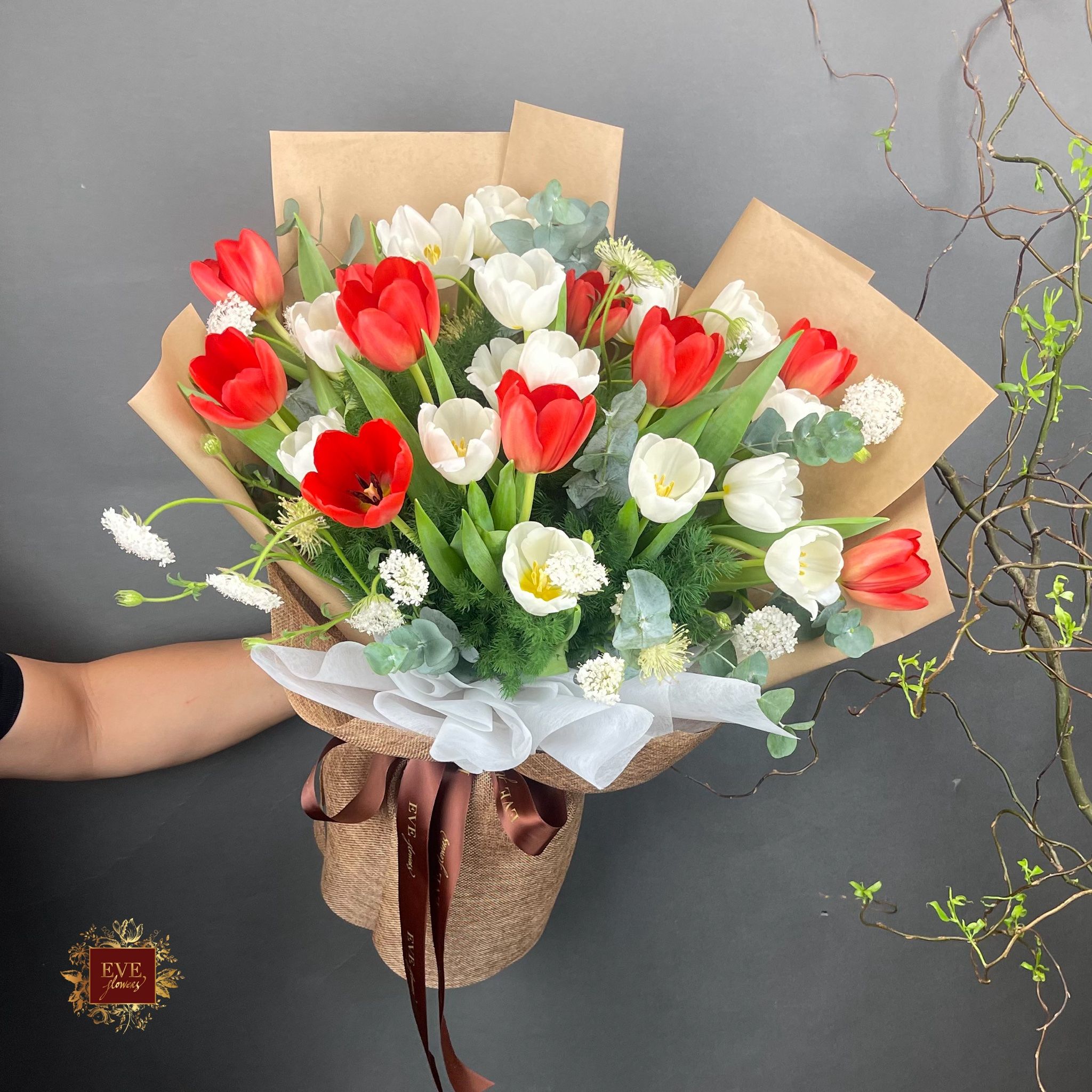  Tulip Flowers 