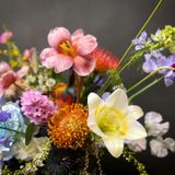  Lovely Bloom 