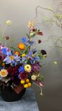  Rhapsody of Bloom 