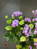  Lặng Lẽ 