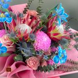  King Protea 