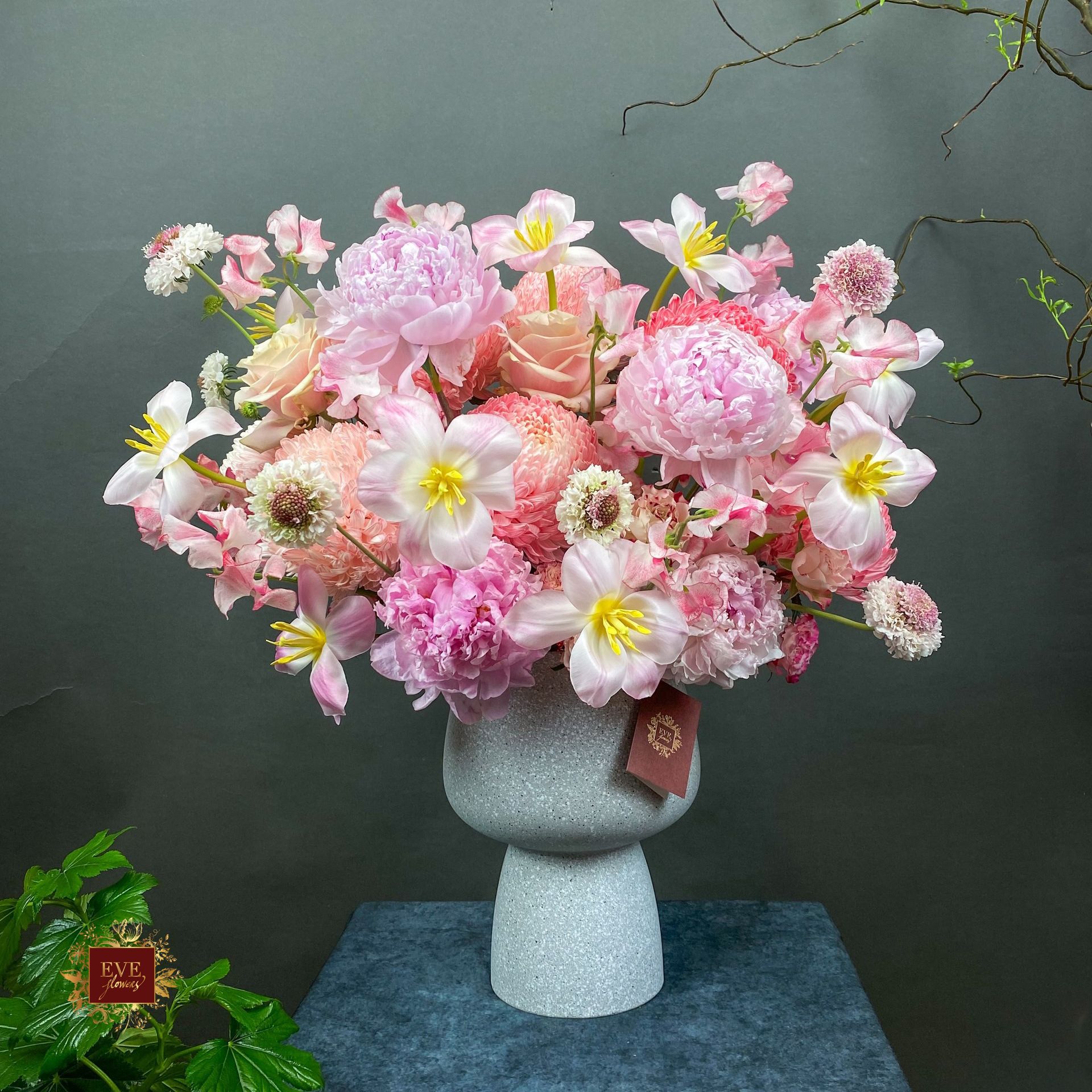  Sweet Bloom 