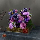 Magic Garden 