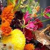  Vibrant Spring 