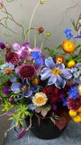  Rhapsody of Bloom 