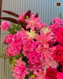  Grand Pink Cascade 
