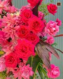  Grand Pink Cascade 