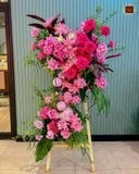 Grand Pink Cascade 