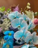  Blue Reverie 