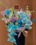 Blue Reverie 