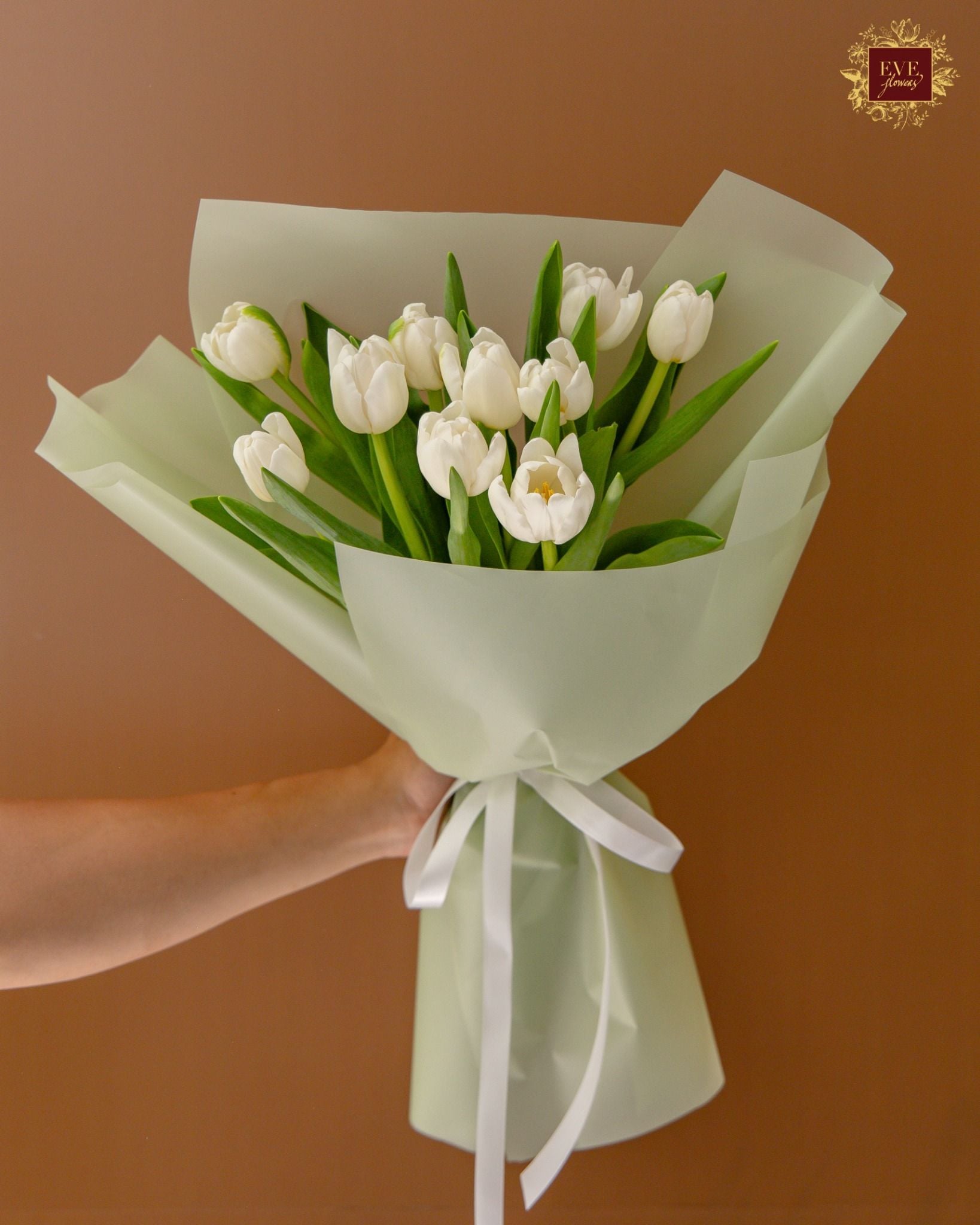  White Tulip 