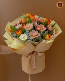  Terracotta Tulip 