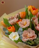  Terracotta Tulip 