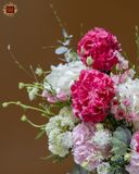  Hydrangea Pink 