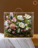  Bloom in a Box 