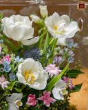  Bloom in a Box 