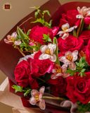  Passion Bloom 