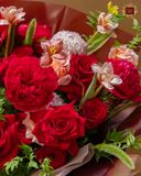  Passion Bloom 