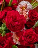  Passion Bloom 