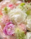  Peony's Sweetness 