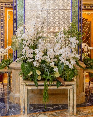  Trắng Thanh Khiết 