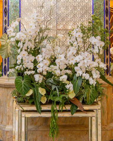  Trắng Thanh Khiết 