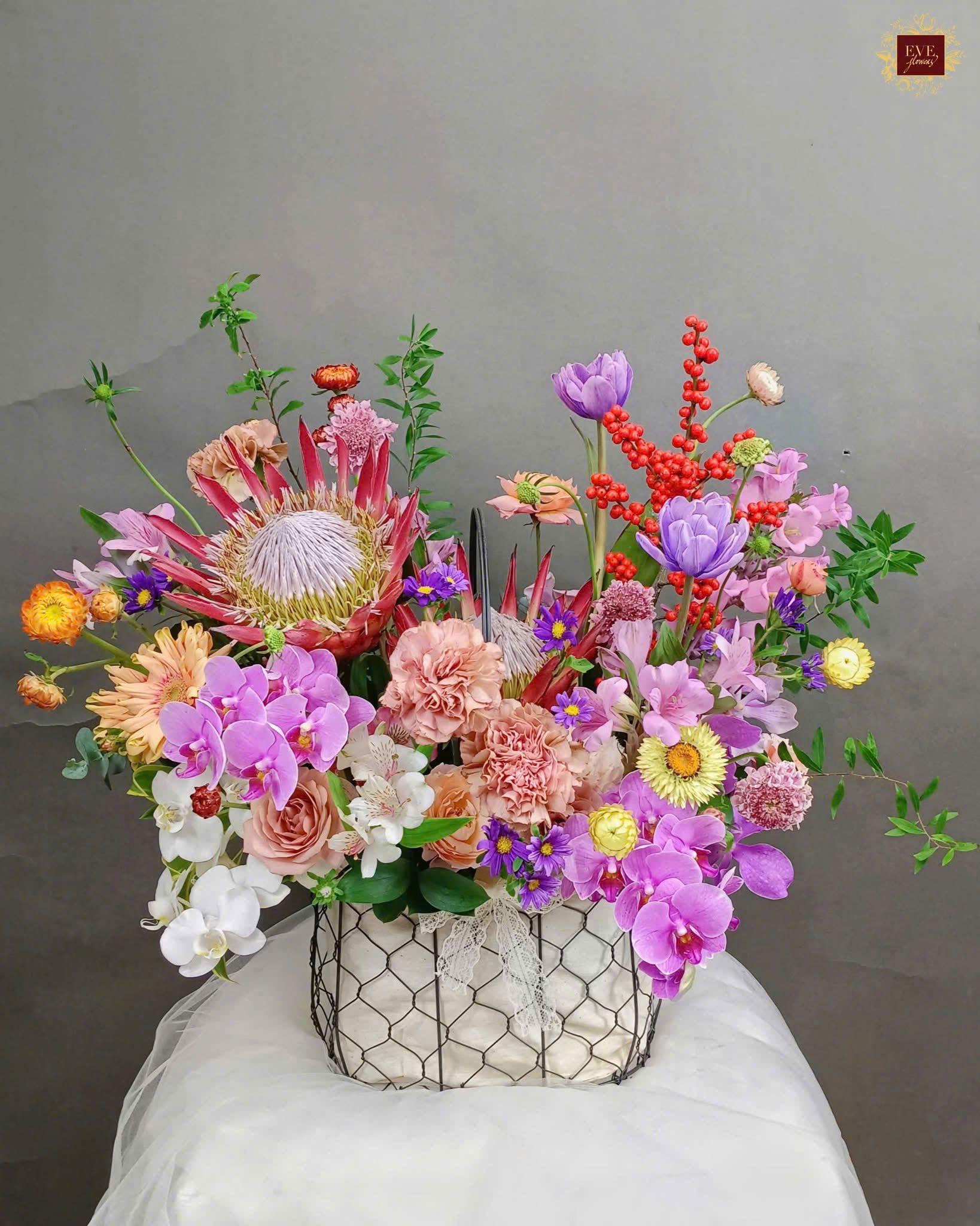  Wild Elegance 