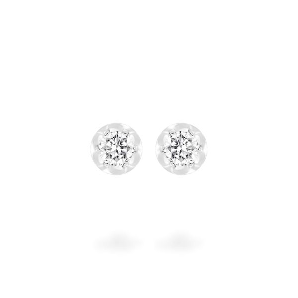 Hoa tai vàng trắng 14K gắn đá CZ DOJI AFEJ000504F2CZ1