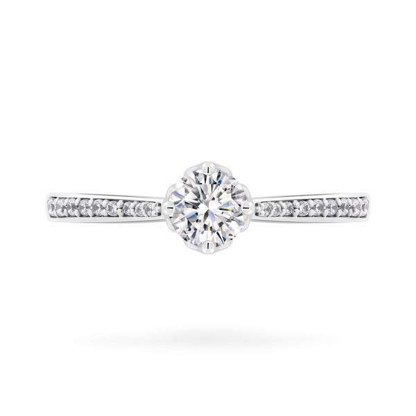 Nhẫn vàng trắng 14K gắn đá CZ DOJI AFRJ000408F2CZ1