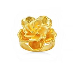 Nhẫn vàng 24K DOJI BFR6003330A1XX0