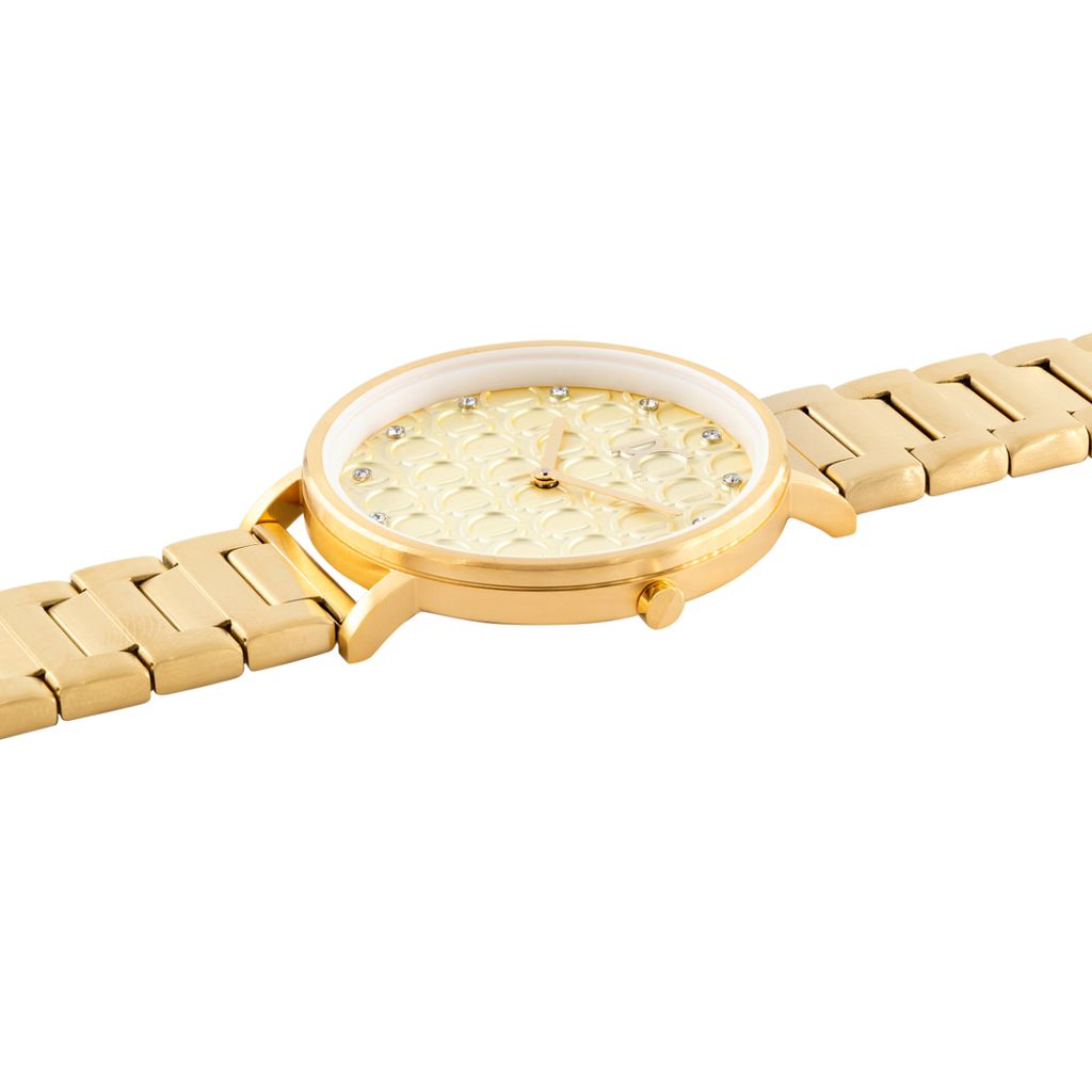 Đồng hồ nữ Pierre Cardin CBN.3052 